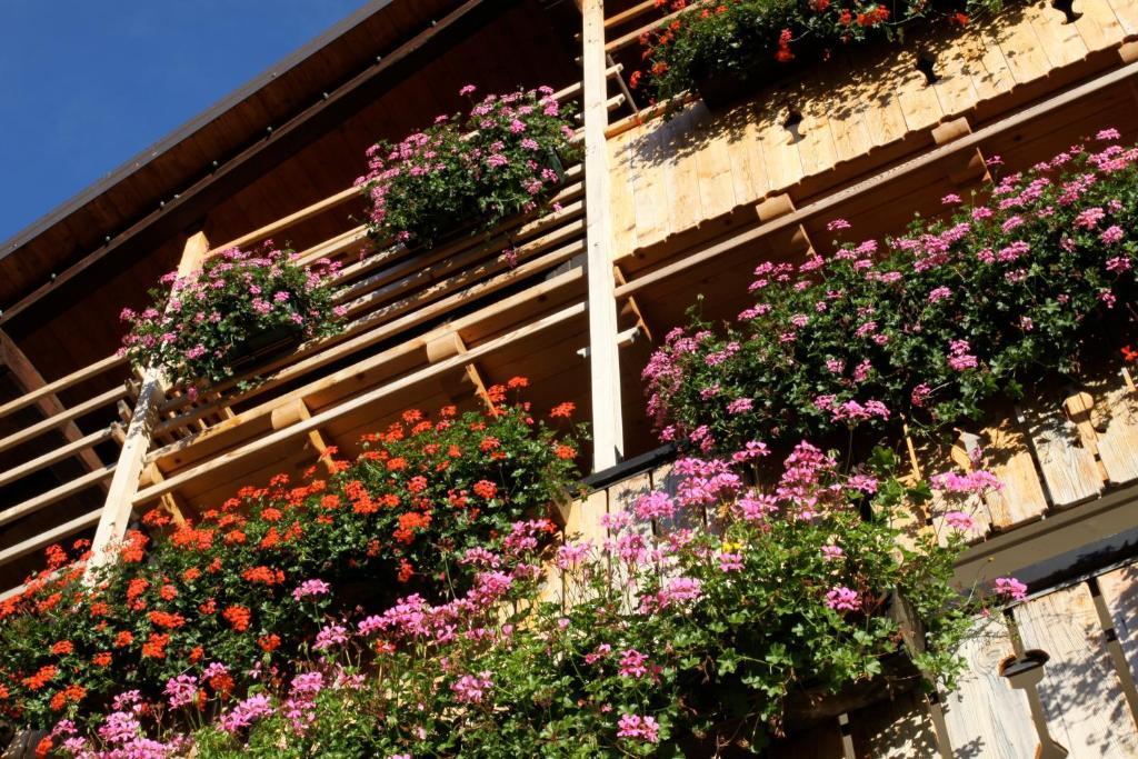 Albergo Centrale Forni di Sopra Luaran gambar